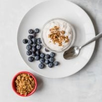 Yogurt and blueberries on a white plate with a side of oats.