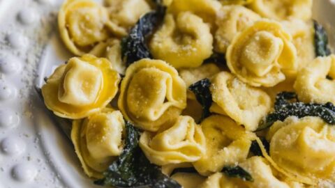 Cheese tortellini on a white plate.