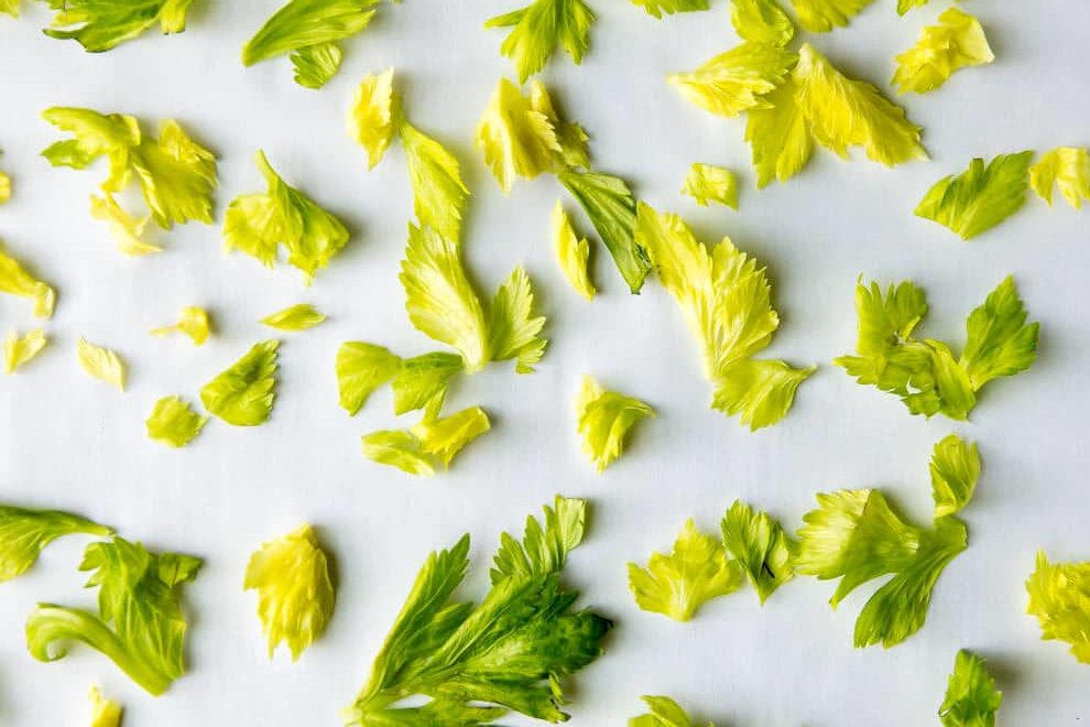 Put your leftover celery leaves to work in this easy Homemade Celery Salt Recipe! It tastes even better when you make it yourself.