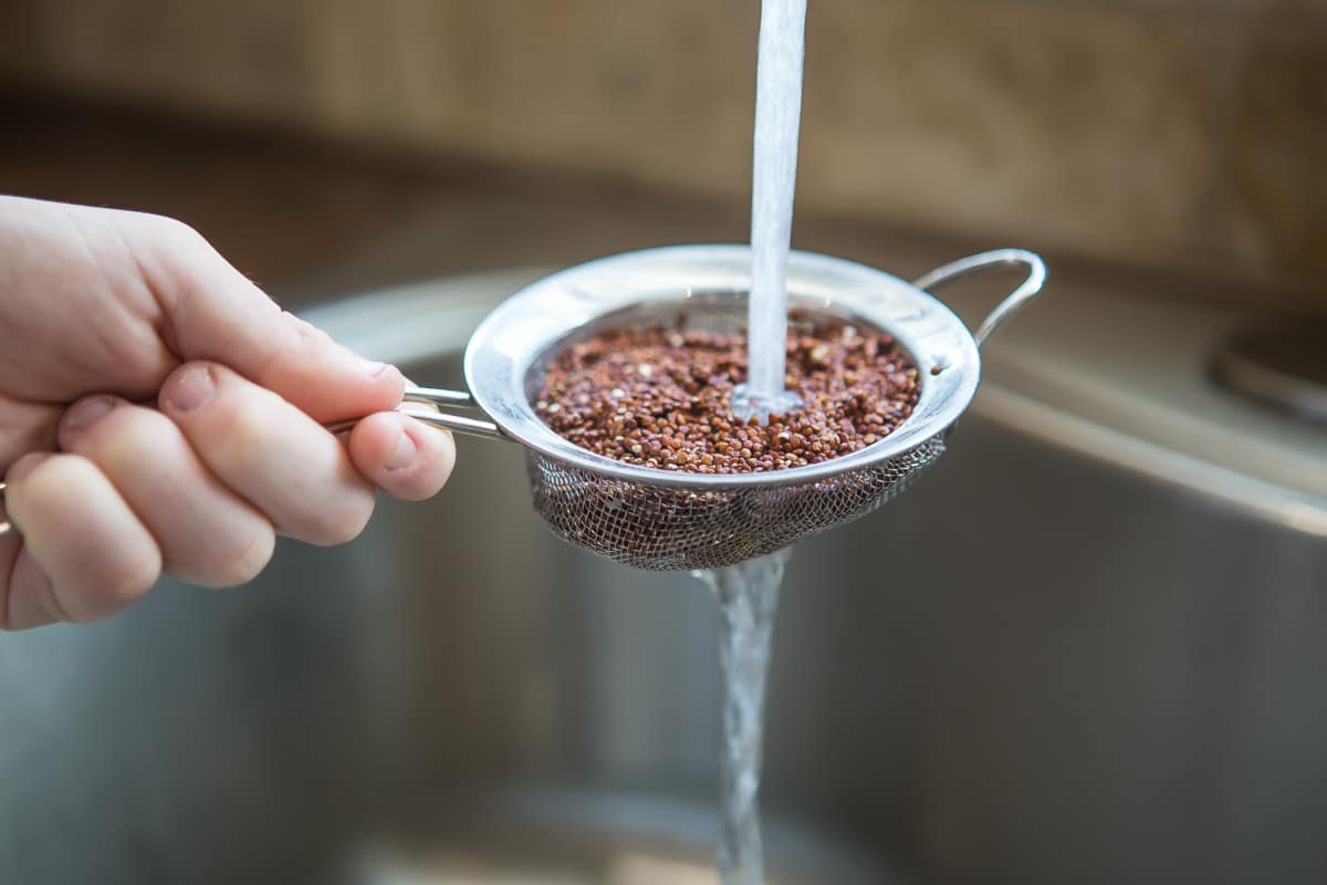 Quinoa being rinsed over a sink.