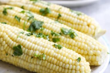 Corn on the cob on a white plate.