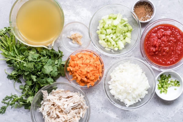 An overhead shot of Mexican Chicken Soup ingredients.