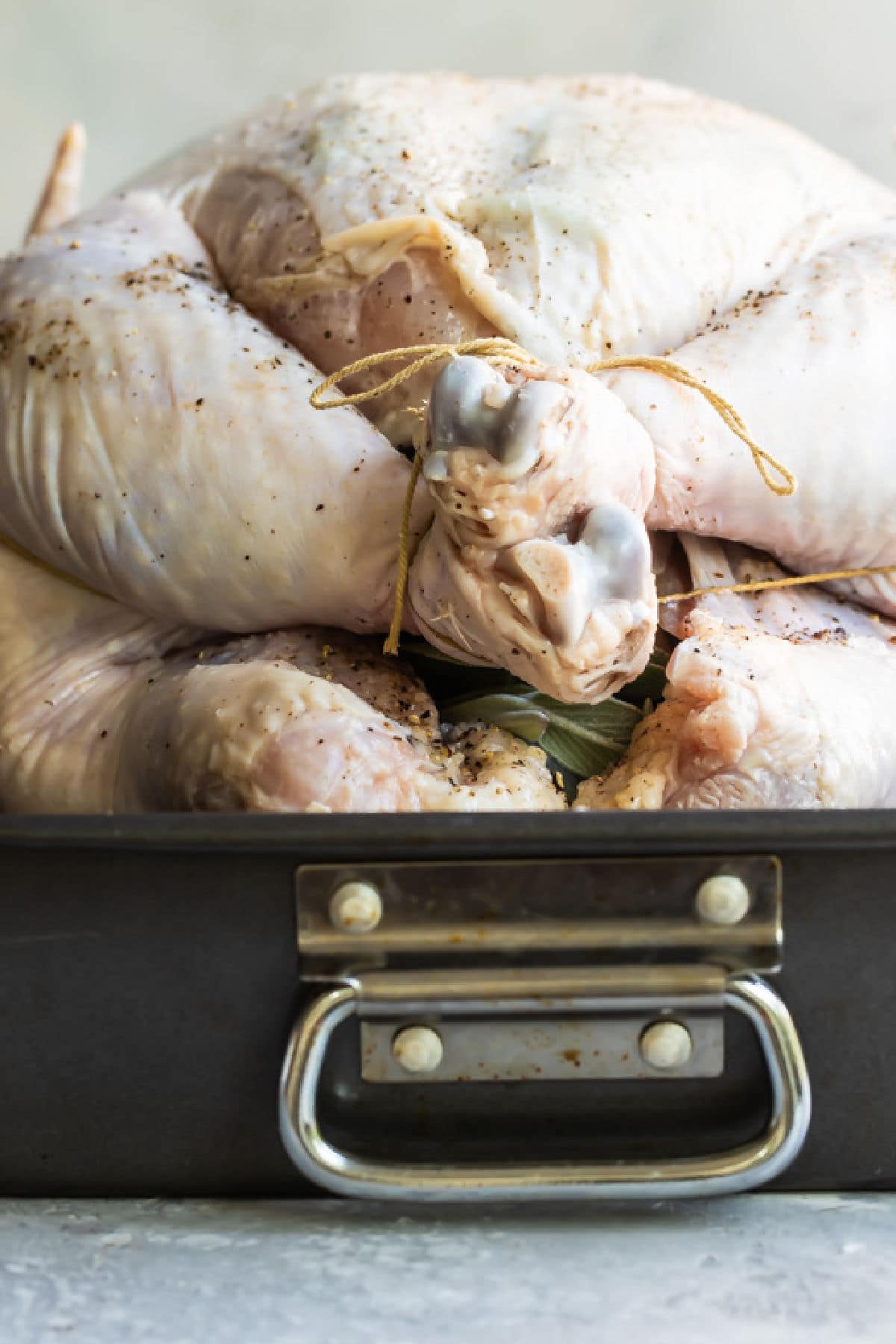 A raw trussed turkey in a roasting pan.