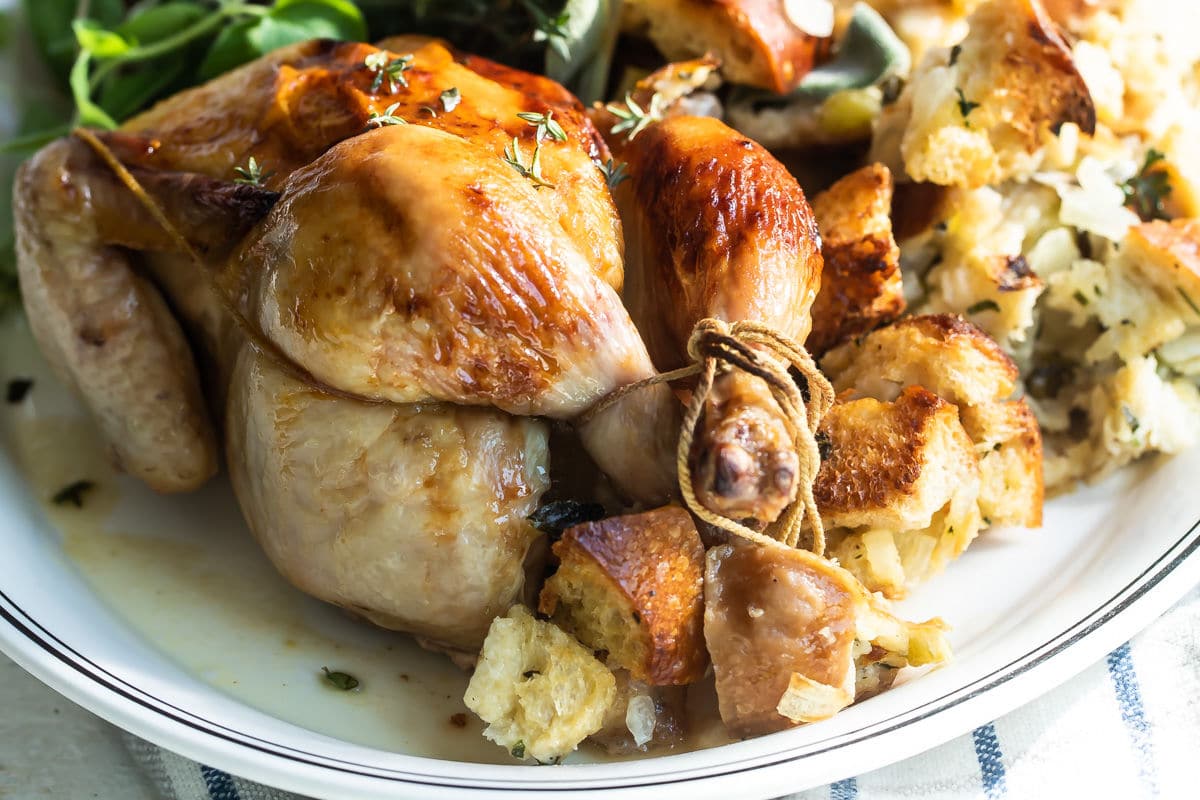 A whole Cornish hen on a gray plate with stuffing.