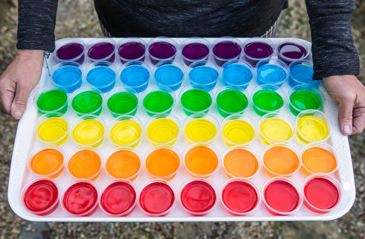 Various colored jello shots in clear portion cups.