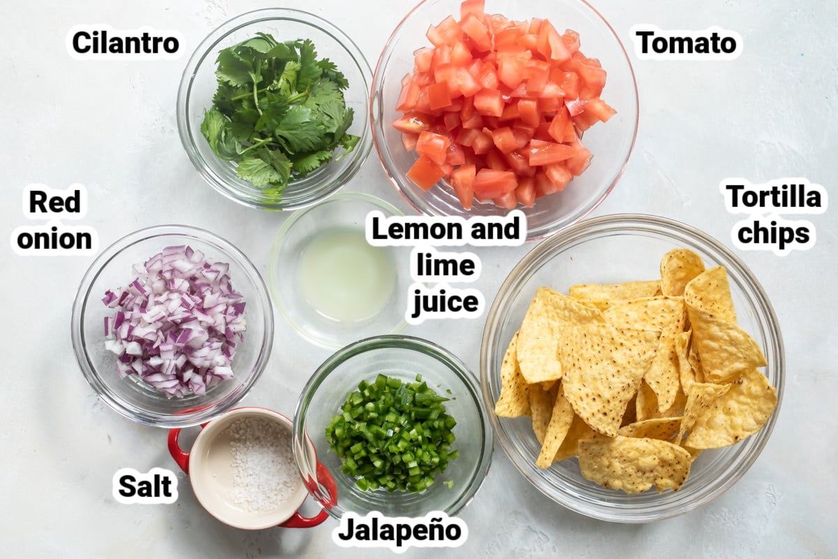 Labeled ingredients for Chipotle Tomato Salsa.