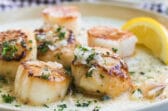 Pan-seared scallops with a lemon butter sauce on a white plate.