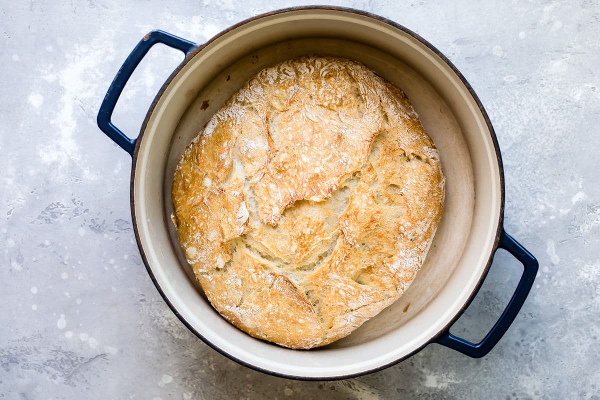 Baked no knead bread in a blue pot.