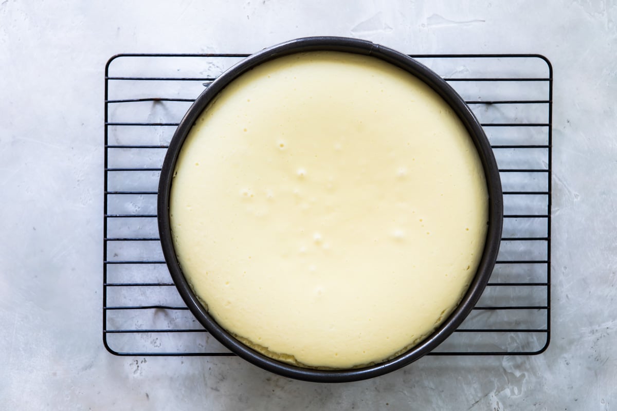 Vanilla cheesecake in a springform pan.