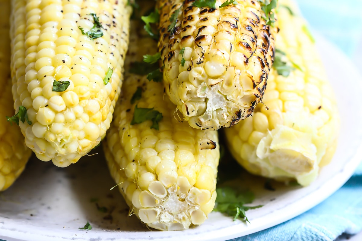 4 ears of corn on a white plate.