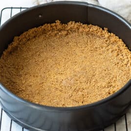 A graham cracker crust in a springform pan.