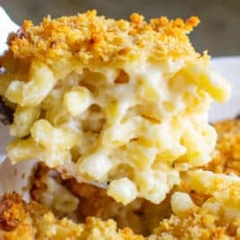 A scoop of mac and cheese with garlic butter crumbs.
