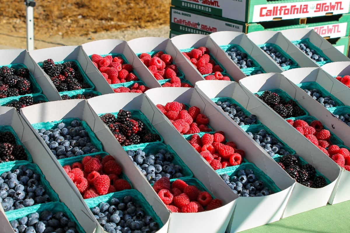 A variety of berries for sale at the Farmer's Market.