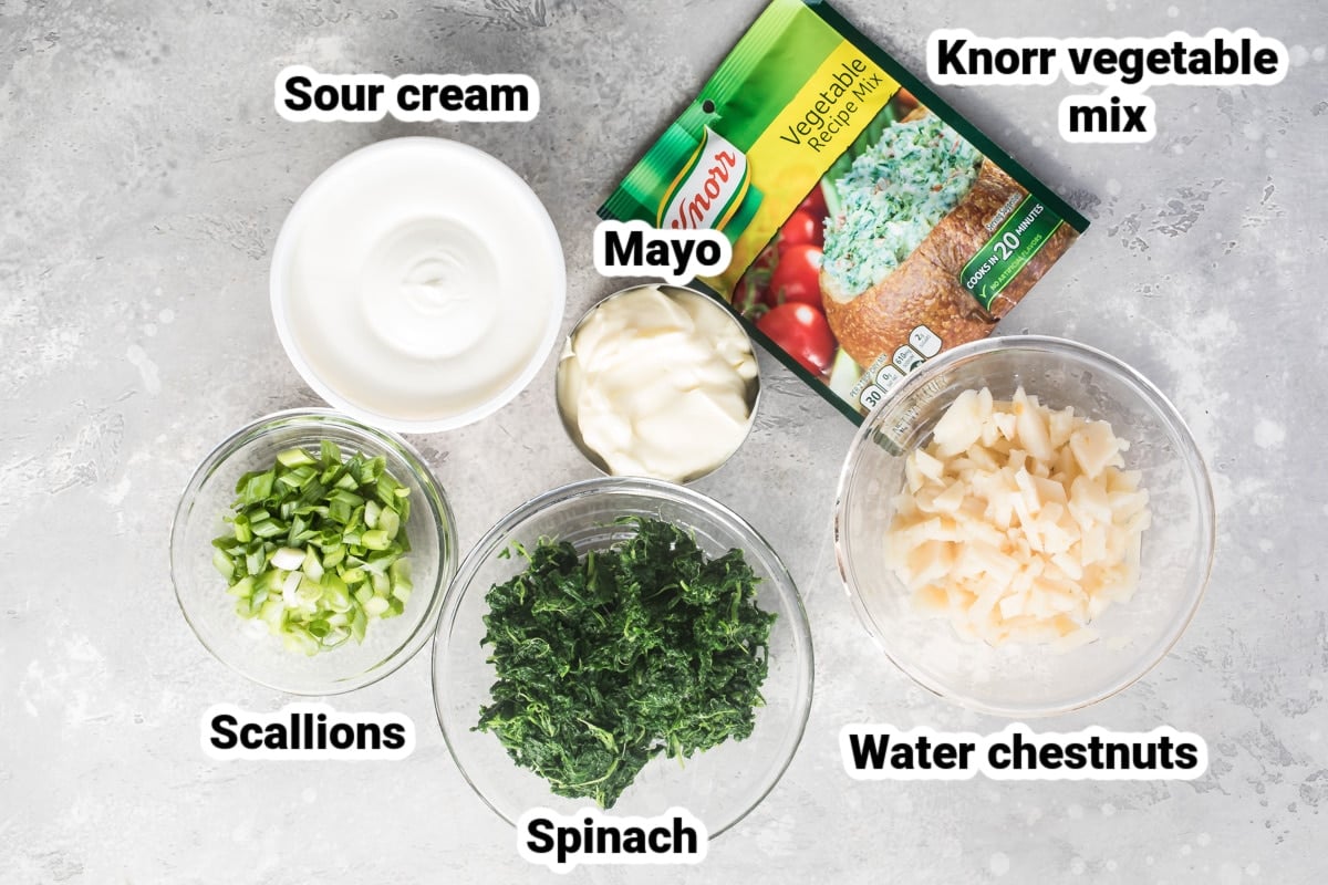Labeled ingredients for Knorr spinach dip.