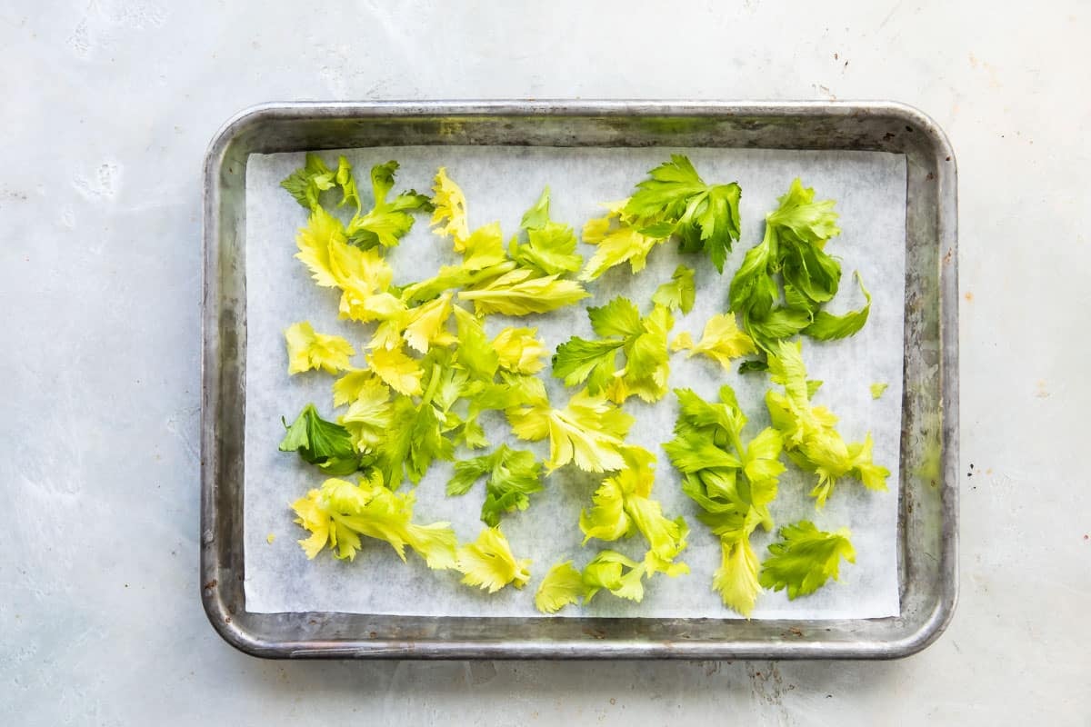 Celery leaves on a baking sheet before being baked.