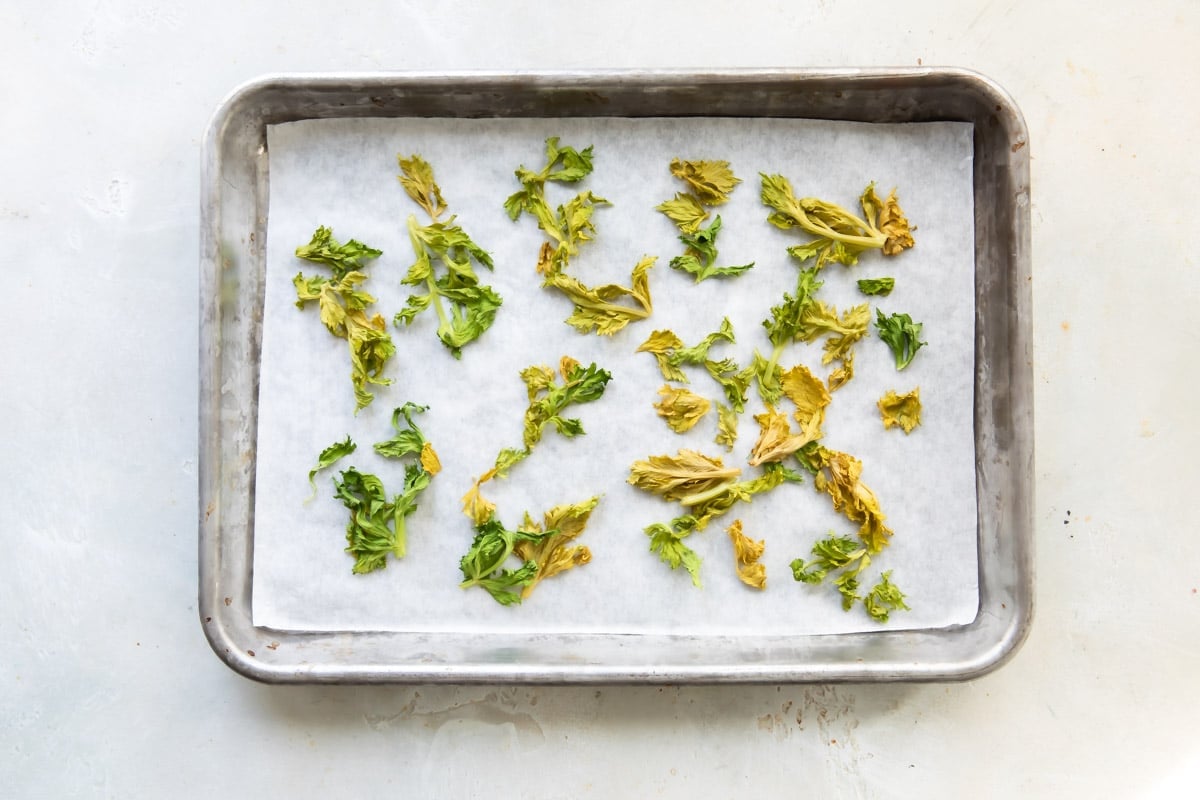 Celery leaves being dried out on a baking sheet.