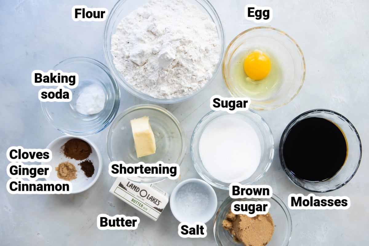 Labeled ingredients for molasses cookies.