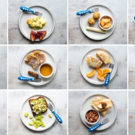 Pictures in a grid of 12 Toddler Breakfasts.