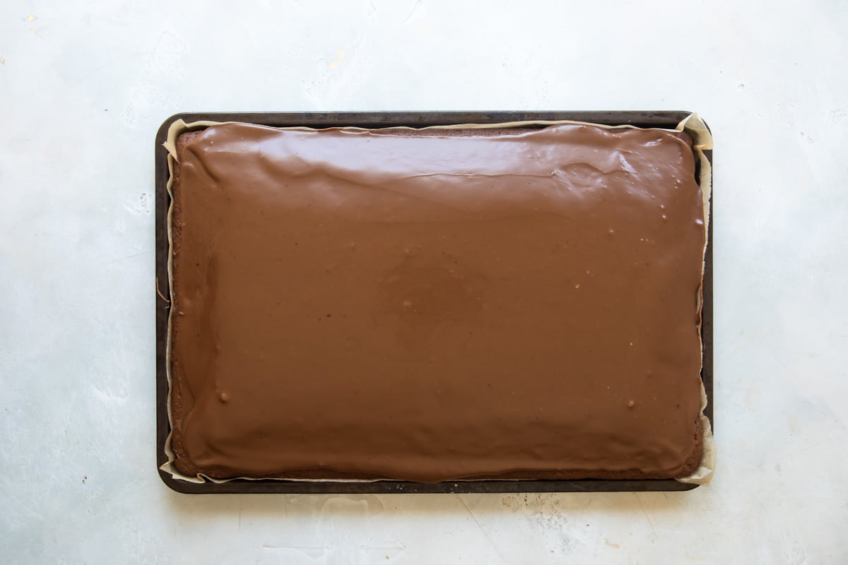 A fully-baked, frosted Texas sheet cake.