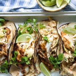 Four grilled fish tacos on a platter.