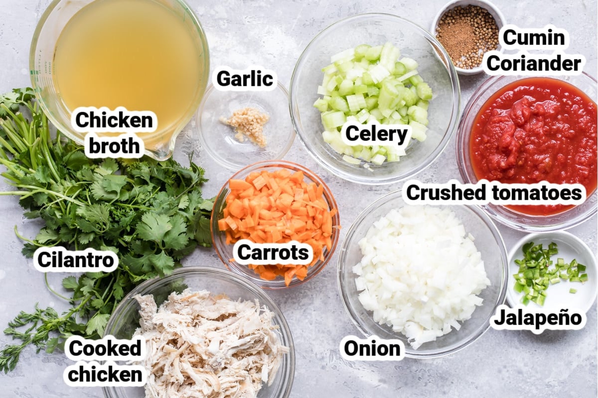 Labeled ingredients for Mexican chicken soup.