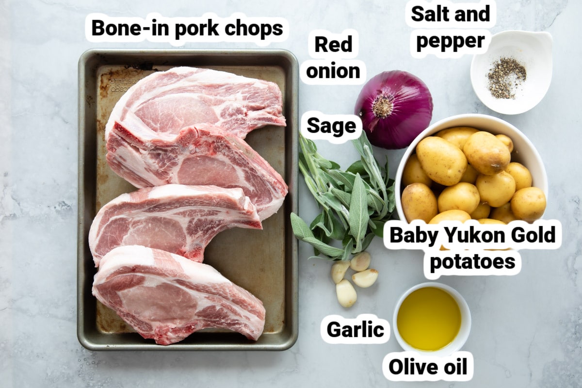 Labeled ingredients for baked pork chops.