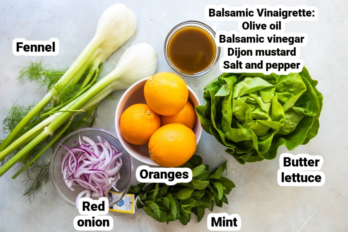 Labeled ingredients for Fennel Orange Salad.