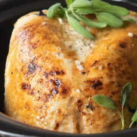 A turkey breast in a crock pot.