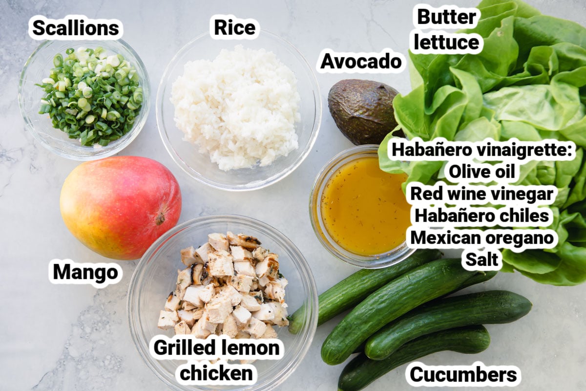 Labeled ingredients for a mango chicken bowl.