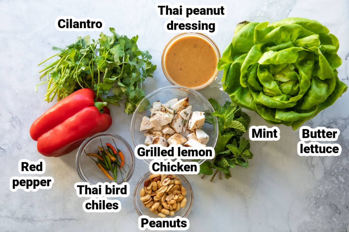 Labeled ingredients for Thai Chicken Salad.