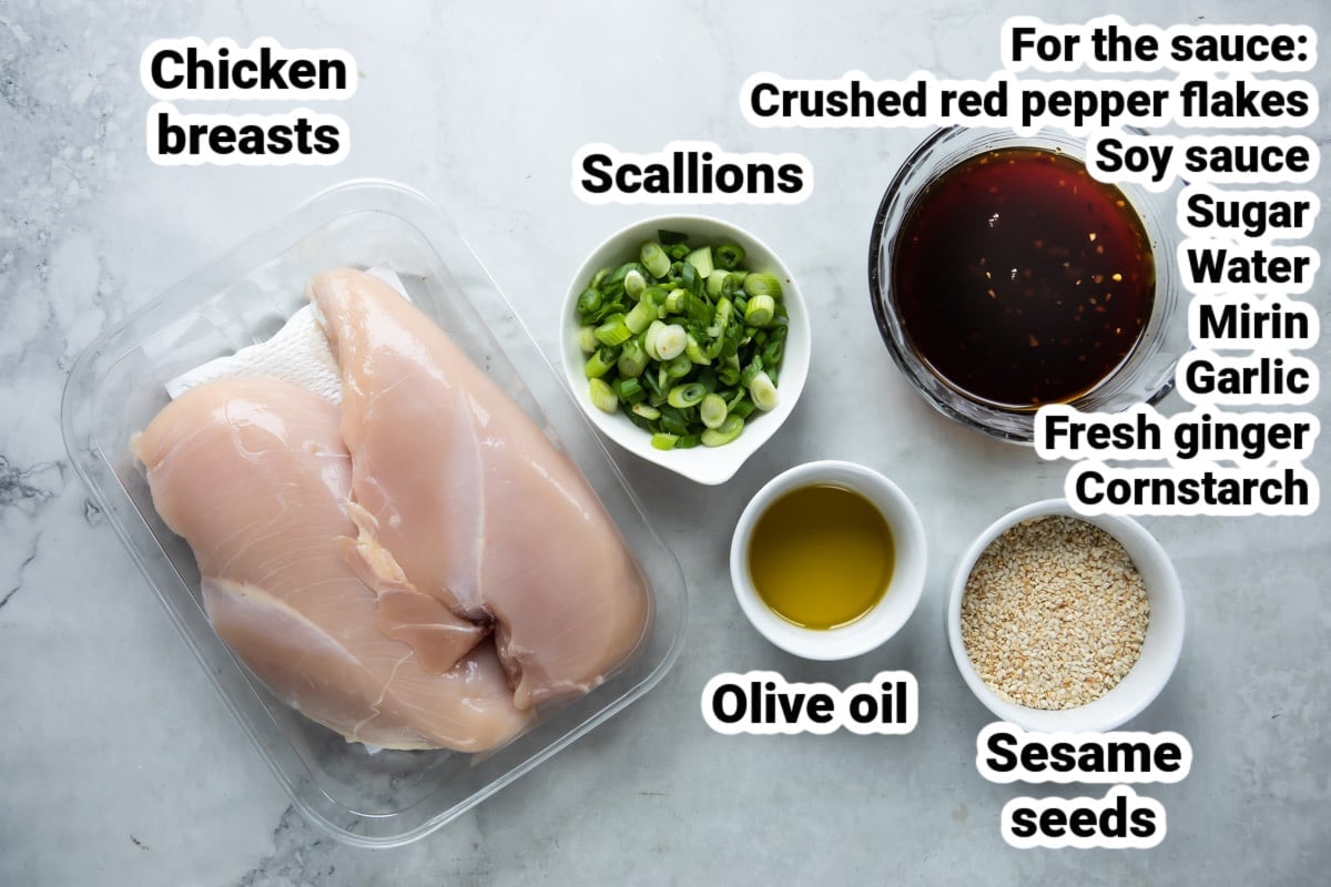 Labeled ingredients for Teriyaki chicken.